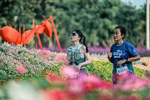 BIB: 
                            <button type="button" onclick="openModal(25934582)" class="btn btn-primary btn-sm float-right btn-popup" data-toggle="modal" data-target=".modal-high-quality">
                        <i class="fas fa-shopping-cart"></i> Add to Cart
                    </button>
                                            <button type="button" onclick="isThisMe(25934582, true)" class="btn btn-success btn-sm float-right btn-popup btn-isme hidden" data-toggle="tooltip" data-placement="bottom" title="นี่คือรูปของคุณใช่ไหม คลิกที่นี่เพื่อเอาเข้าอัลบั้ม">
                        <i class="fas fa-plus"></i> Add to album
                    </button>
                    <button type="button" onclick="isThisMe(25934582, false)" class="btn btn-warning btn-sm float-right btn-popup btn-isnotme hidden">
                        <i class="fas fa-ban"></i> Remove from album
                    </button>